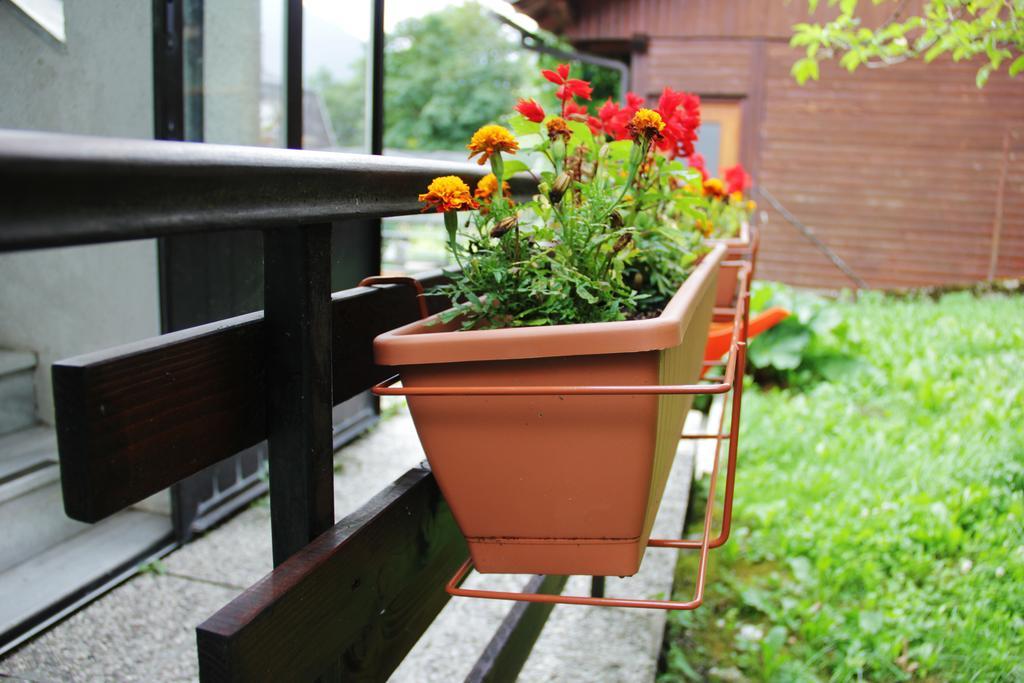 Hostel Бовец Екстер'єр фото